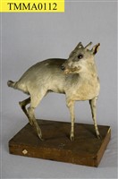 山羌藏品圖，第9張